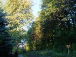 DSCF1386