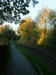 DSCF1388