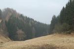 bychelli (23)