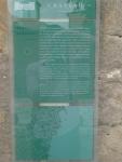 CIMG0106